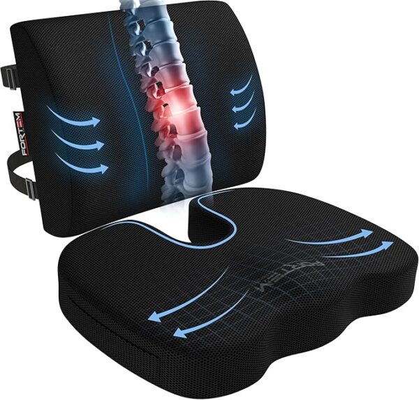 FORTEM Seat Cushion and Lumbar Support for Office Chair